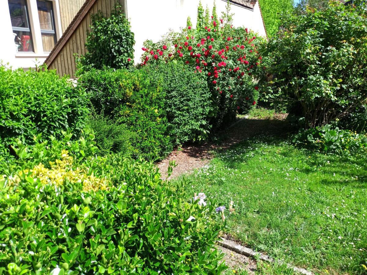 L'Essentiel De Chartres Apartment Exterior photo